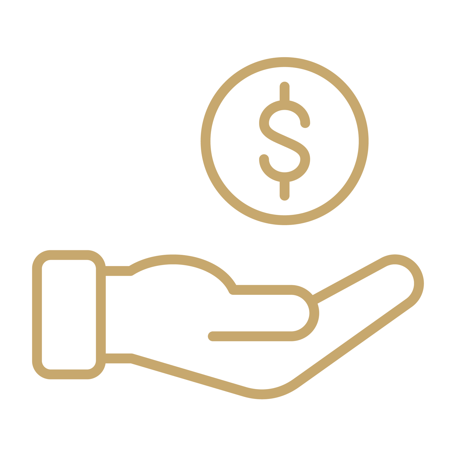 hand with dollar icon